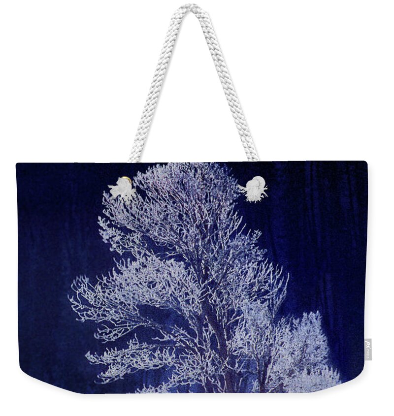 Dave Welling Weekender Tote Bag featuring the photograph Lonely Rime Ice Covered Tree Yellowstone National Park by Dave Welling