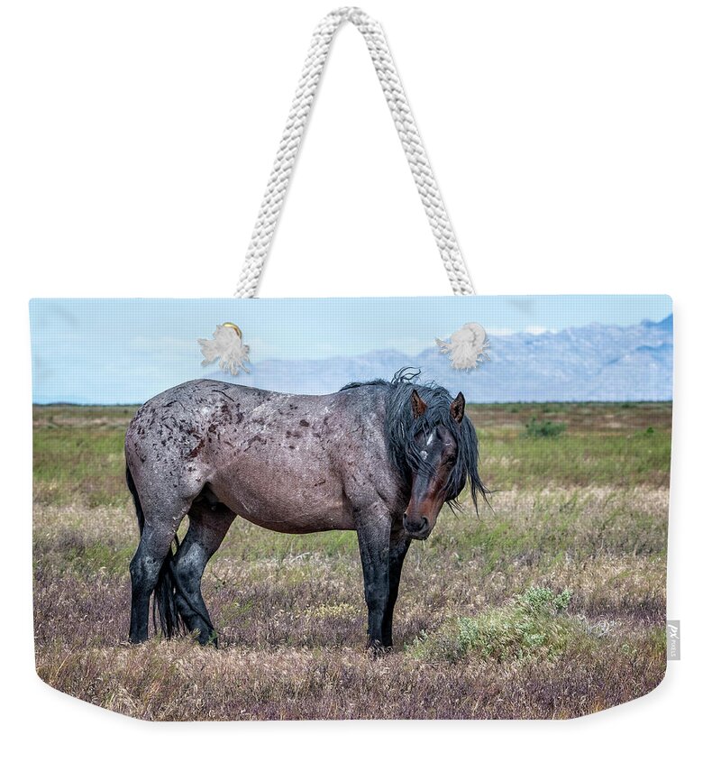 Horse Weekender Tote Bag featuring the photograph Lonesome Joe by Jeanette Mahoney