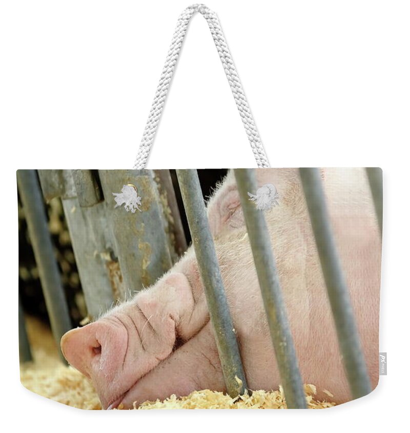 Farm Weekender Tote Bag featuring the photograph Long Day At The Fair by Lens Art Photography By Larry Trager