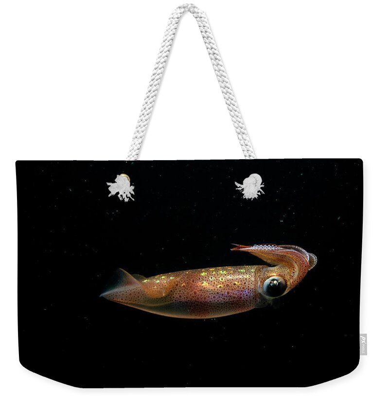 Squid Weekender Tote Bag featuring the photograph Longfin Squid in the water column by Brian Weber