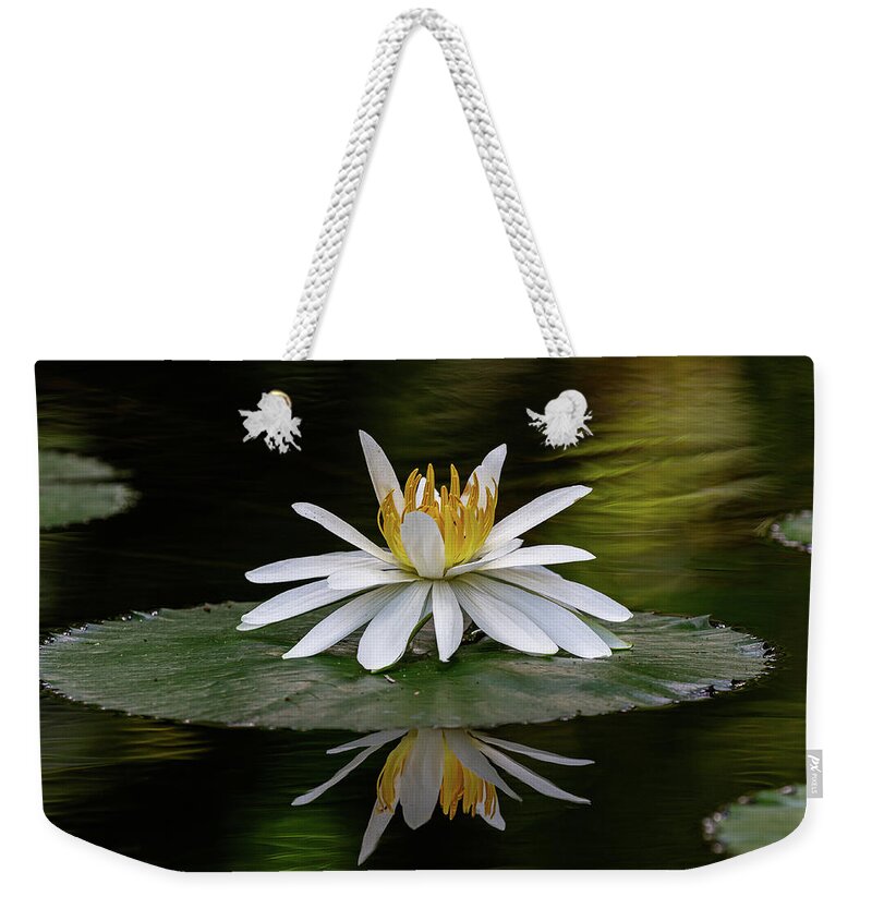 Flower Weekender Tote Bag featuring the photograph Looking back at ya by Les Greenwood