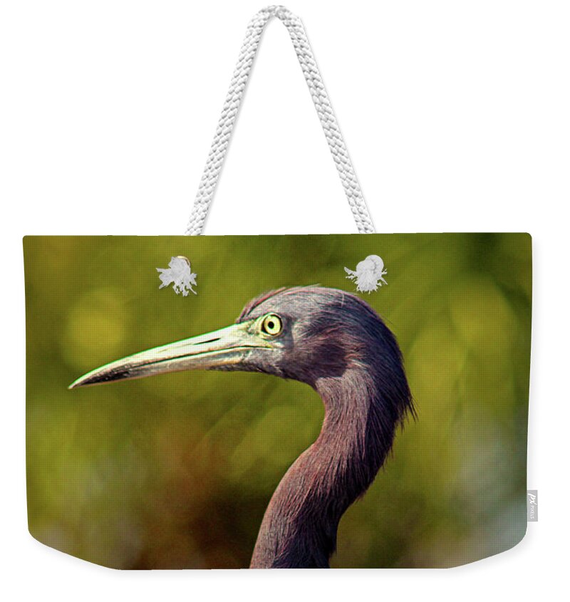 Little Blue Heron Weekender Tote Bag featuring the photograph Looking Out by Michael Allard