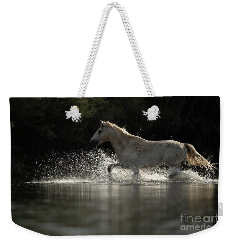 Stallion Weekender Tote Bag featuring the photograph Looking by Shannon Hastings