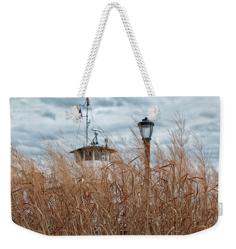 Grasses Weekender Tote Bag featuring the photograph Looking Through the Grasses by Cate Franklyn