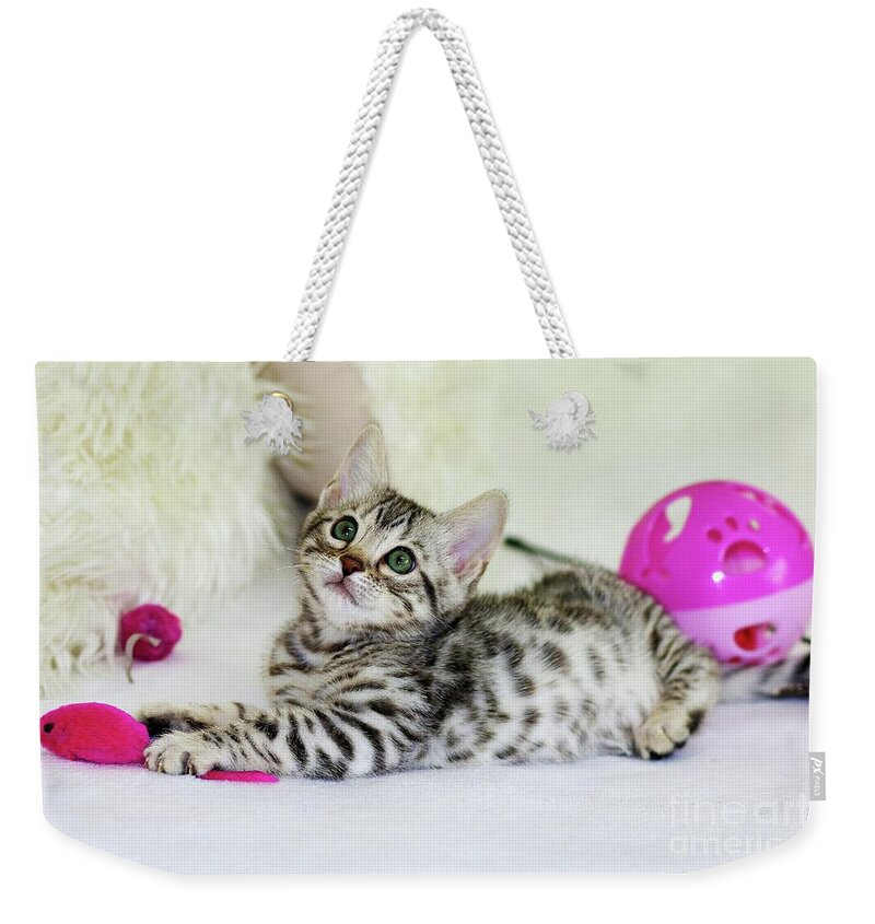 Sea Weekender Tote Bag featuring the photograph Looking up by Michael Graham