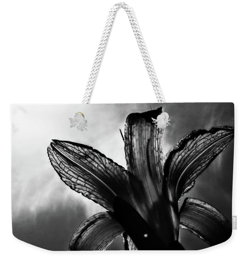 Daylily Silhouette Weekender Tote Bag featuring the digital art Looking Up by Pamela Smale Williams