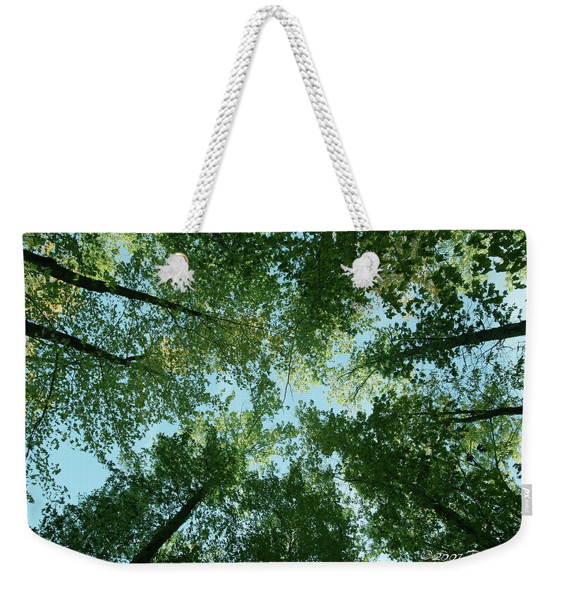 Trees Weekender Tote Bag featuring the photograph Looking Up by Terri Harper