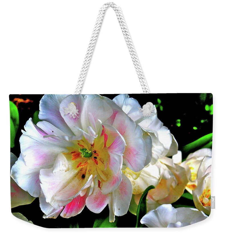 Flower Weekender Tote Bag featuring the photograph Looks Delicious by Dorsey Northrup