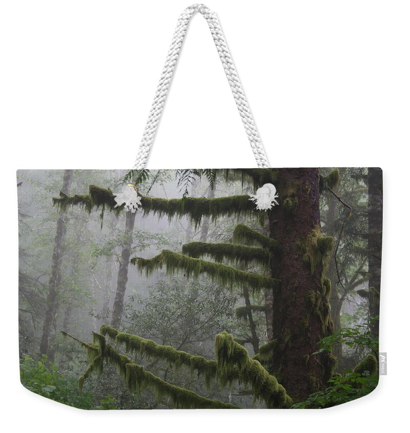 Lost Ferndale Weekender Tote Bag featuring the photograph Lost Ferndale by Dylan Punke