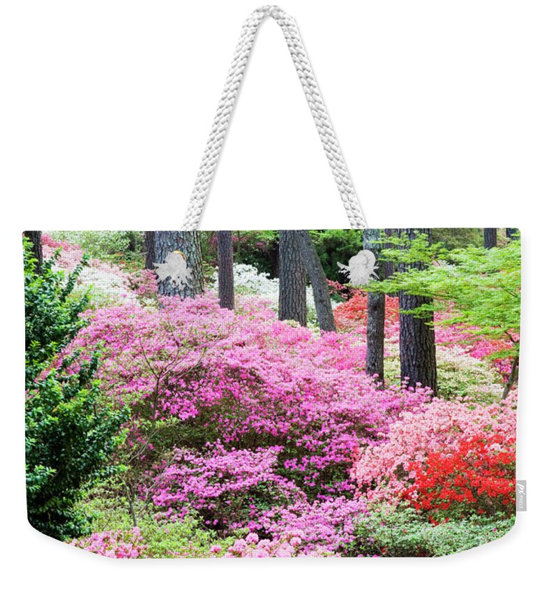 Azalea Weekender Tote Bag featuring the photograph Lost in the Azaleas by Eggers Photography