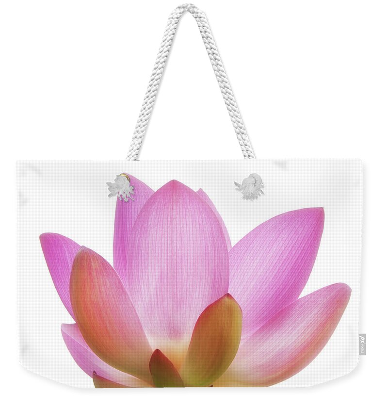 Lotus Weekender Tote Bag featuring the photograph Lotus by Louise Tanguay