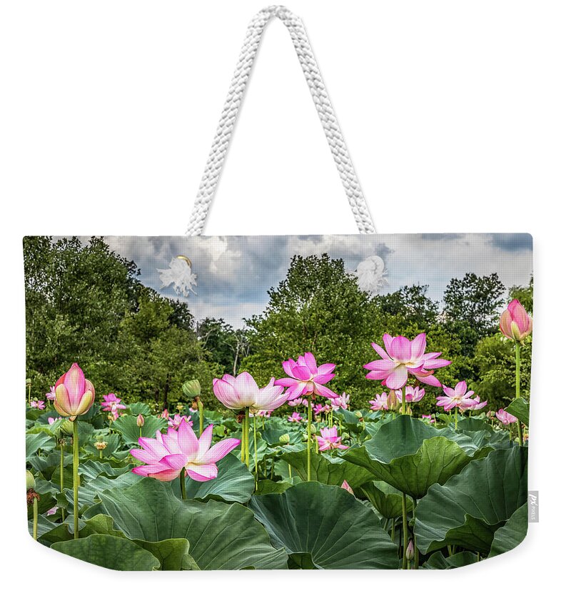 Lotus Flowers Weekender Tote Bag featuring the photograph Lotus Pond by Elvira Peretsman