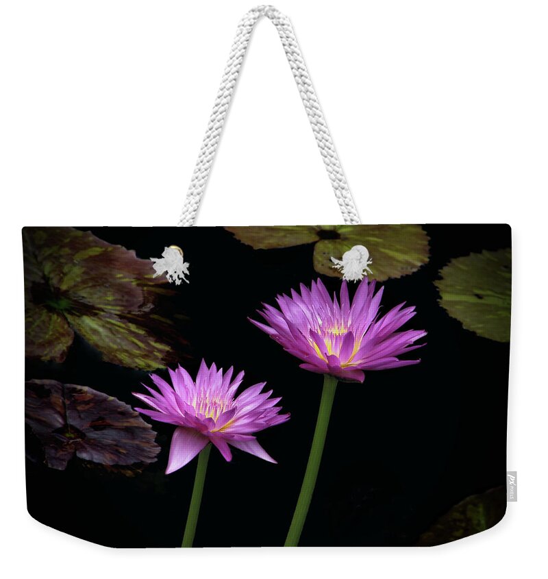 Lily Weekender Tote Bag featuring the photograph Lotus water lilies by Rudy Umans