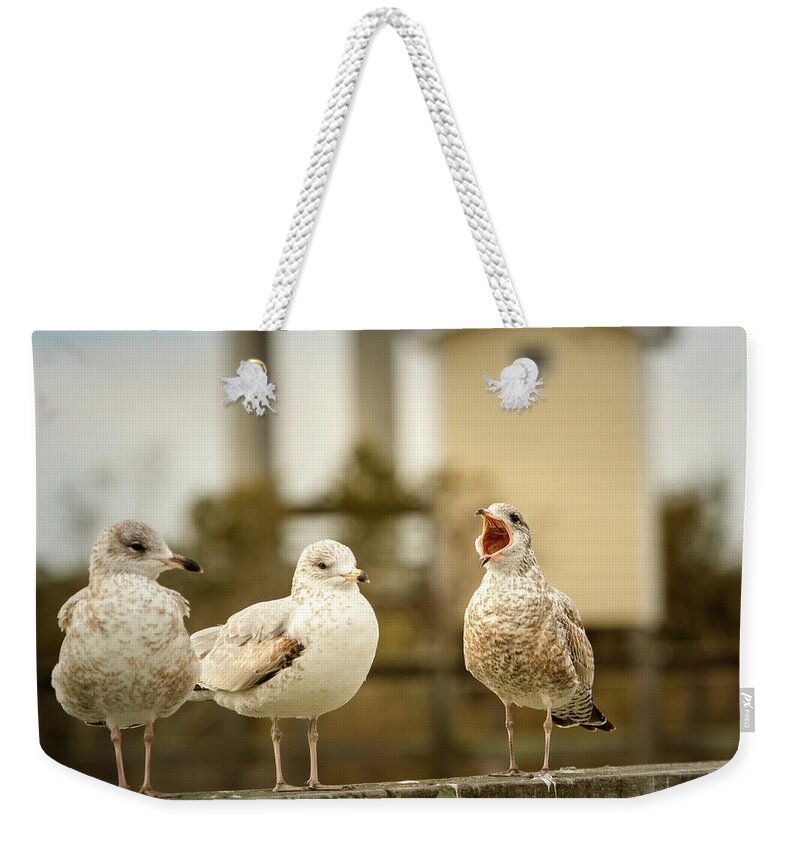 North Carolina Weekender Tote Bag featuring the photograph Loud Mouthed Juvenile Gull by Joni Eskridge