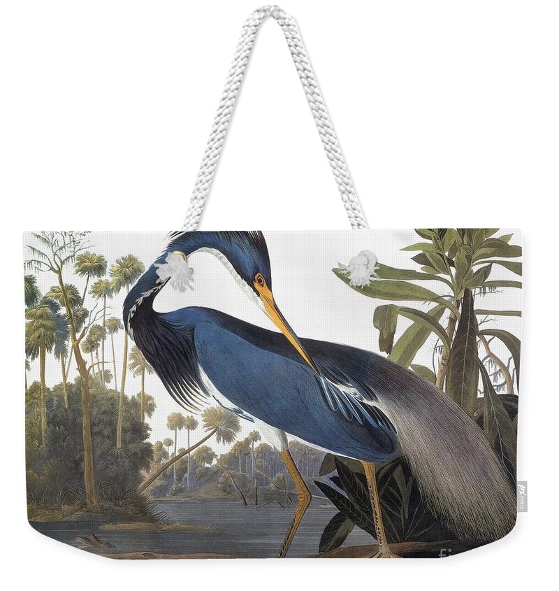 1827 Weekender Tote Bag featuring the drawing Louisiana Heron - Hydranassa Tricolor, 1827 by John James Audubon