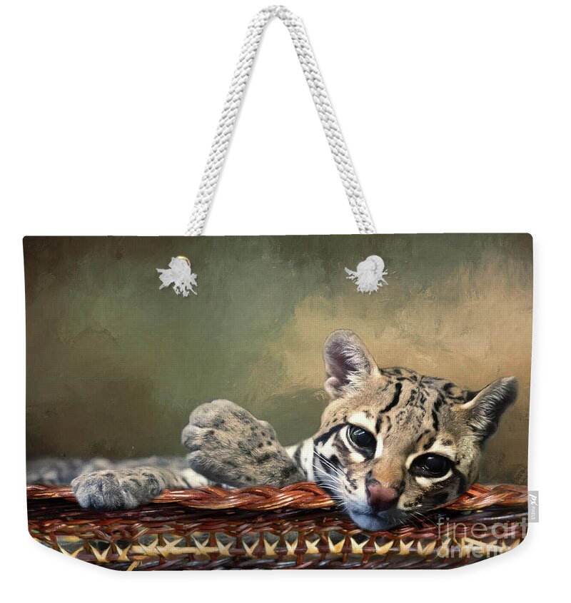 Cincinnati Zoo Weekender Tote Bag featuring the photograph Lounging Ocelot by Ed Taylor