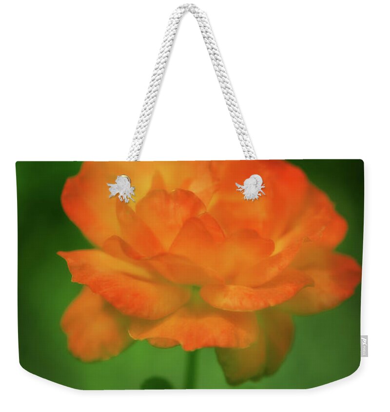 Botanical Weekender Tote Bag featuring the photograph Love Blooms Here by Venetta Archer