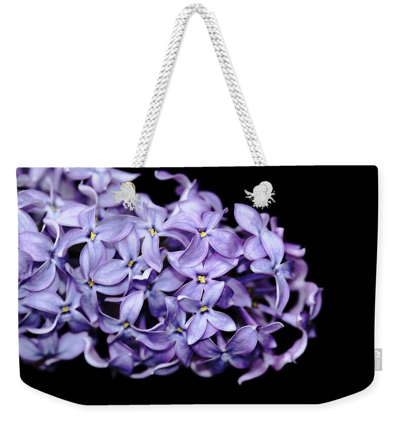Lilacs Weekender Tote Bag featuring the photograph Love In Lilac by Debbie Oppermann