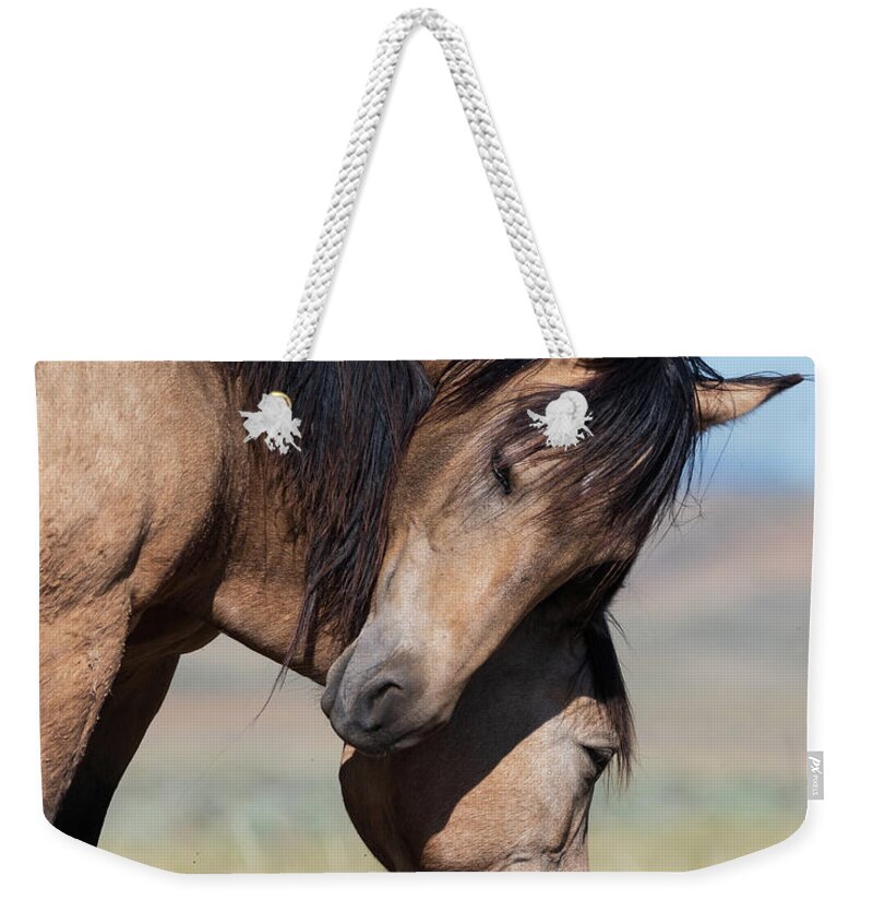Horses Weekender Tote Bag featuring the photograph Love by Mary Hone