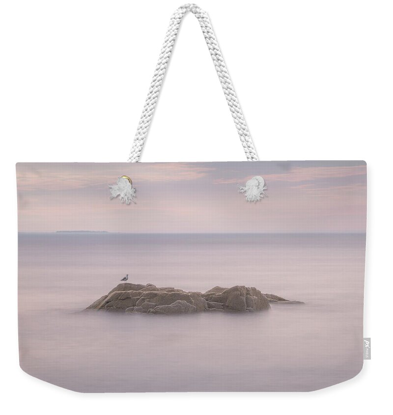 Acadia Weekender Tote Bag featuring the photograph Love Withheld by Arti Panchal