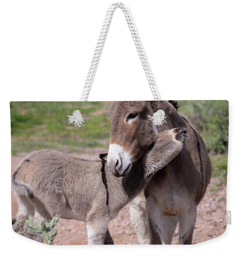 Wild Burro Weekender Tote Bag featuring the photograph Love you mom by Mary Hone