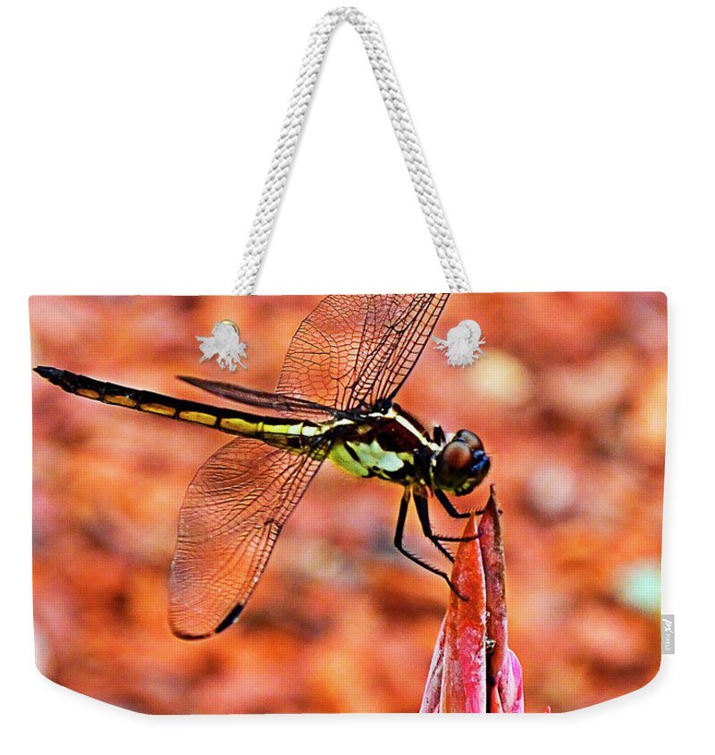 Dragonfly Weekender Tote Bag featuring the photograph Lovely Dragonfly by Bill Barber