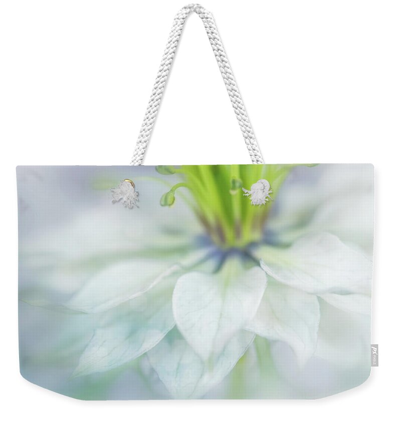 Photography Weekender Tote Bag featuring the digital art Lovely Petals by Terry Davis