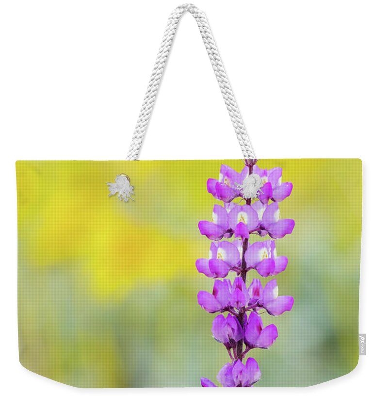 Lupine Weekender Tote Bag featuring the photograph Lupine Bloom Mojave Gold Poppy by Kyle Hanson