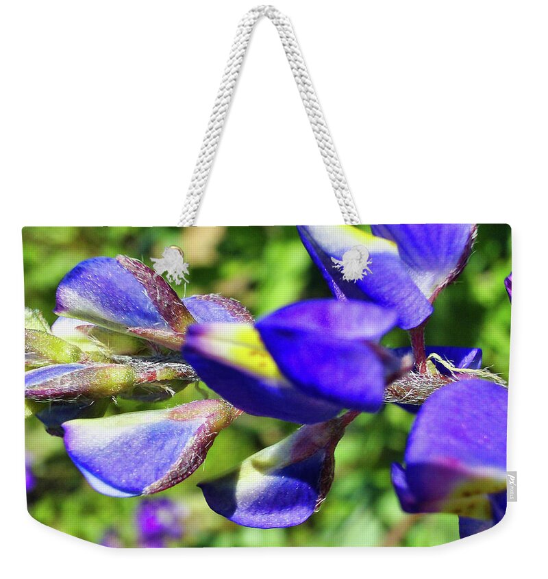 Lupine In Blossom Two Weekender Tote Bag featuring the photograph Lupine In Blossom Two by Gene Taylor