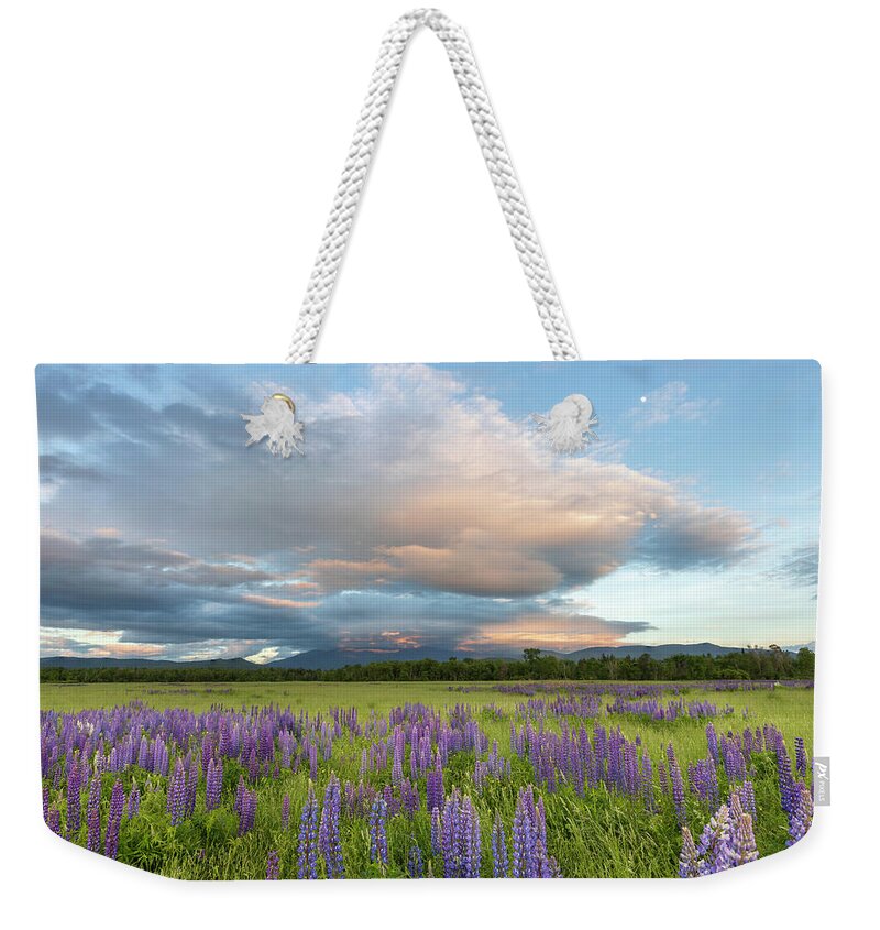 Lupine Weekender Tote Bag featuring the photograph Lupine Sunset Meadows Glow by White Mountain Images