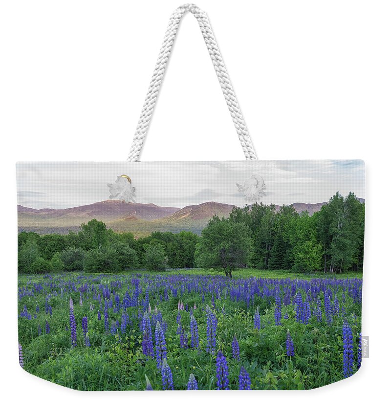 Gar Hill Weekender Tote Bag featuring the photograph Lupines Field in White Mountains by Bob Doucette