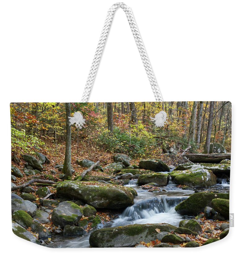 Middle Prong Trail Weekender Tote Bag featuring the photograph Lynn Camp Prong 14 by Phil Perkins