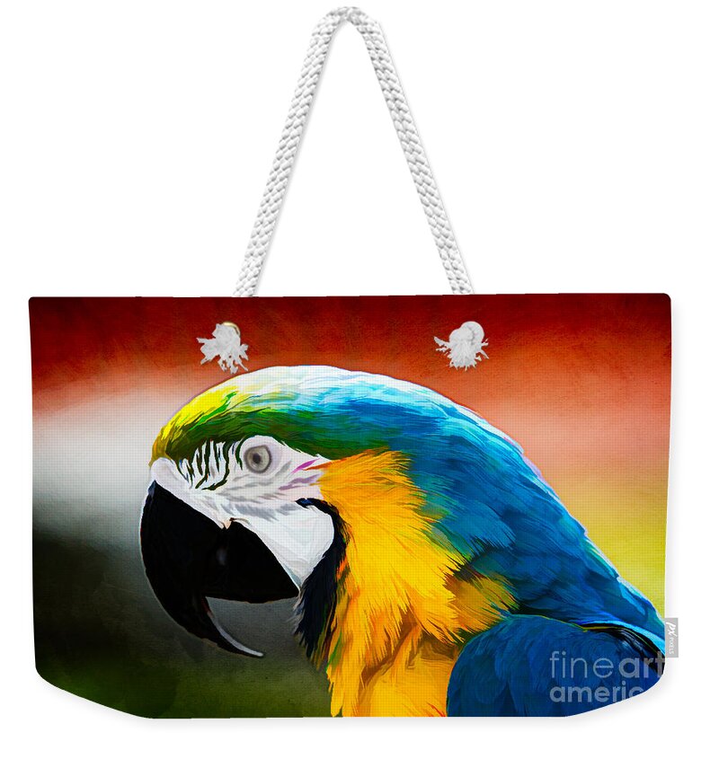 Birds Weekender Tote Bag featuring the photograph Macaw Tropical Bird by Eleanor Abramson