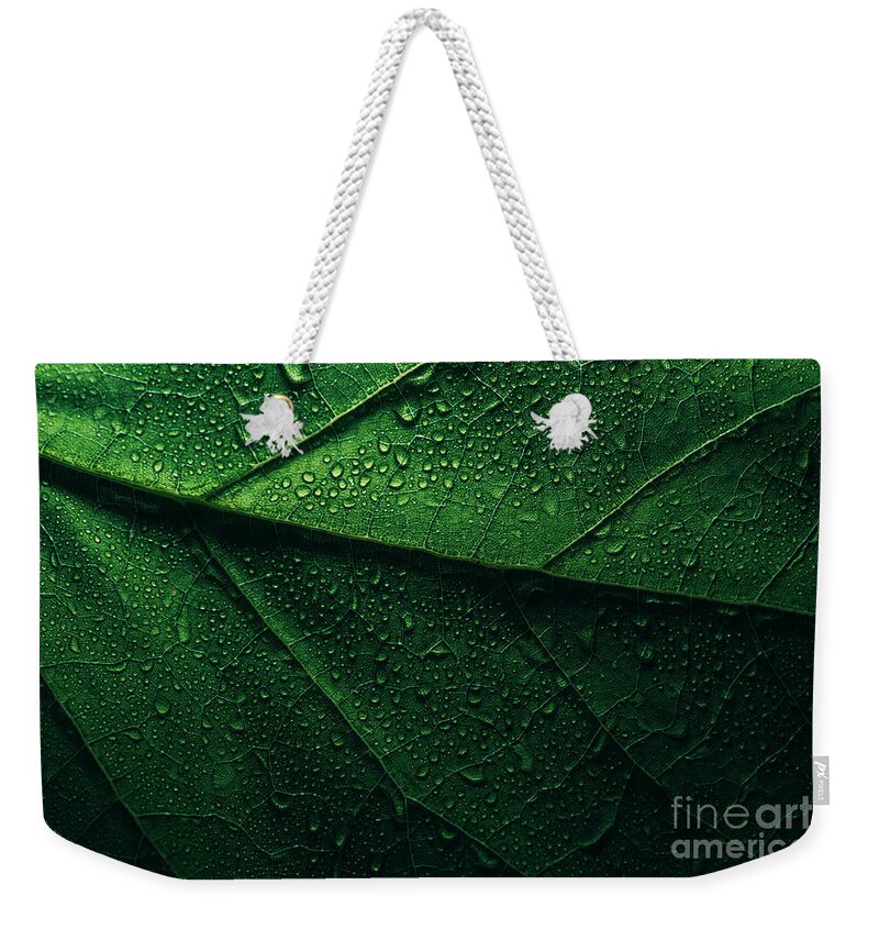 Leaf Weekender Tote Bag featuring the photograph Macro green leaf with water droplets by Jelena Jovanovic