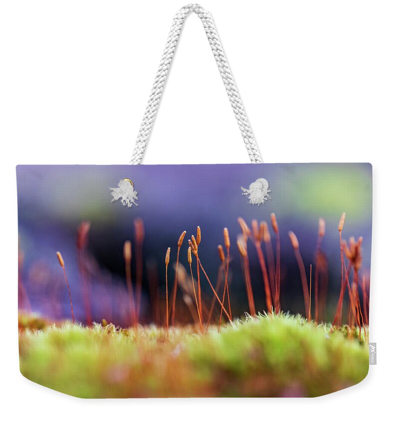 Closeup Weekender Tote Bag featuring the photograph Macro Photography - Tiny Forests 2 by Amelia Pearn
