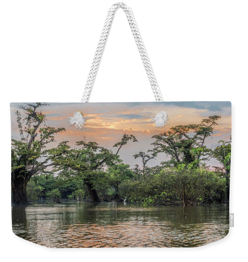 Amazon Weekender Tote Bag featuring the photograph Macrolobium trees Laguna Grande Cuyabeno and Cocoi heron by Henri Leduc