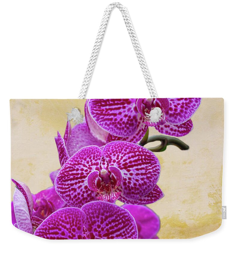 Magenta Weekender Tote Bag featuring the photograph Magenta Moth Orchids by Cate Franklyn