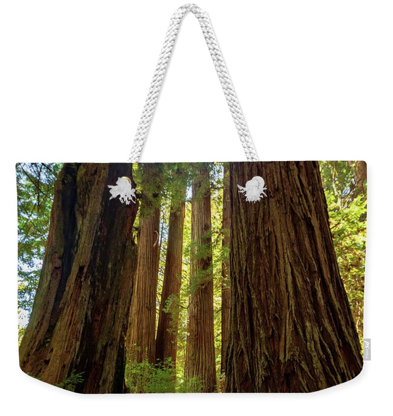 Peaceful Weekender Tote Bag featuring the photograph Magical by Rick Furmanek