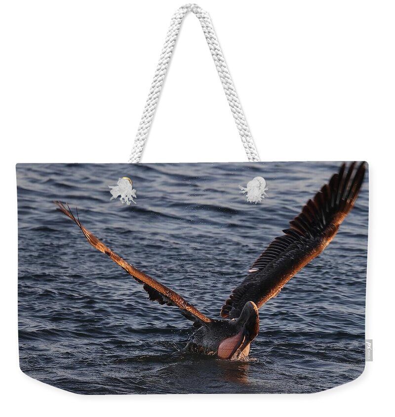 Pelicans Weekender Tote Bag featuring the photograph Magnificent Throat Pouch 2 by Mingming Jiang