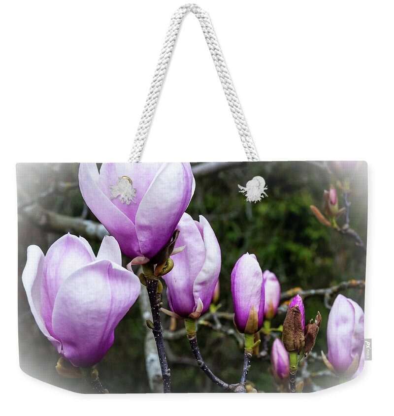 Botanic Gardens Weekender Tote Bag featuring the photograph Magnolia blooms by Fran Woods