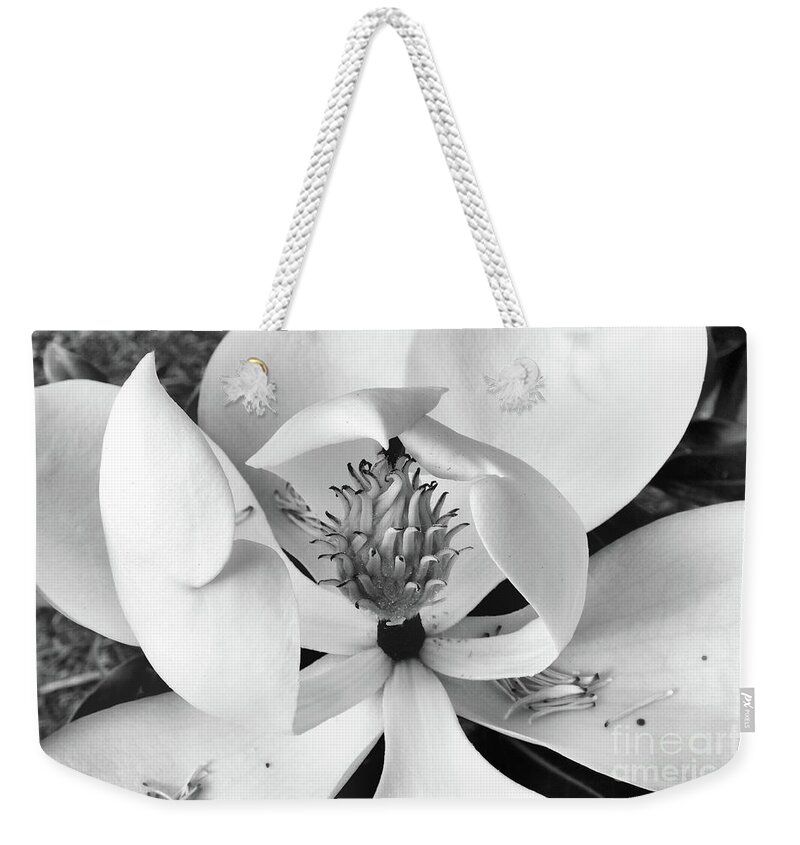 Magnolia Weekender Tote Bag featuring the photograph Magnolia Blossom - Classic Black and White by Scott Cameron