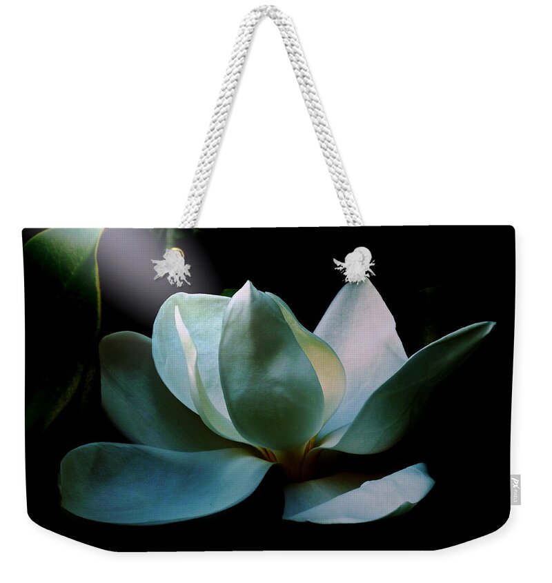 Flower Weekender Tote Bag featuring the photograph Magnolia Closeup Early Morning Light Spotlight by Mike McBrayer