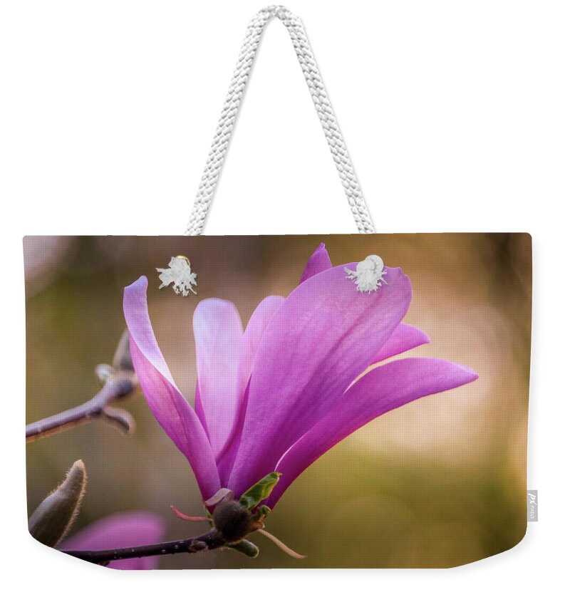 Magnolia Weekender Tote Bag featuring the photograph Magnolia in Bloom by Susan Rydberg