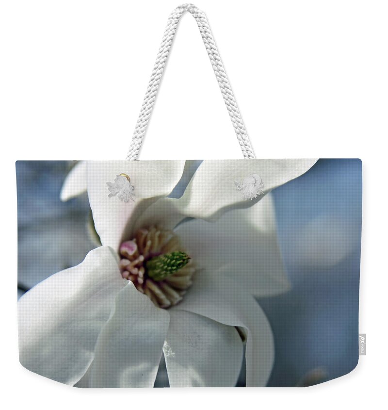 Magnolia Weekender Tote Bag featuring the photograph Magnolia5471 by Carolyn Stagger Cokley