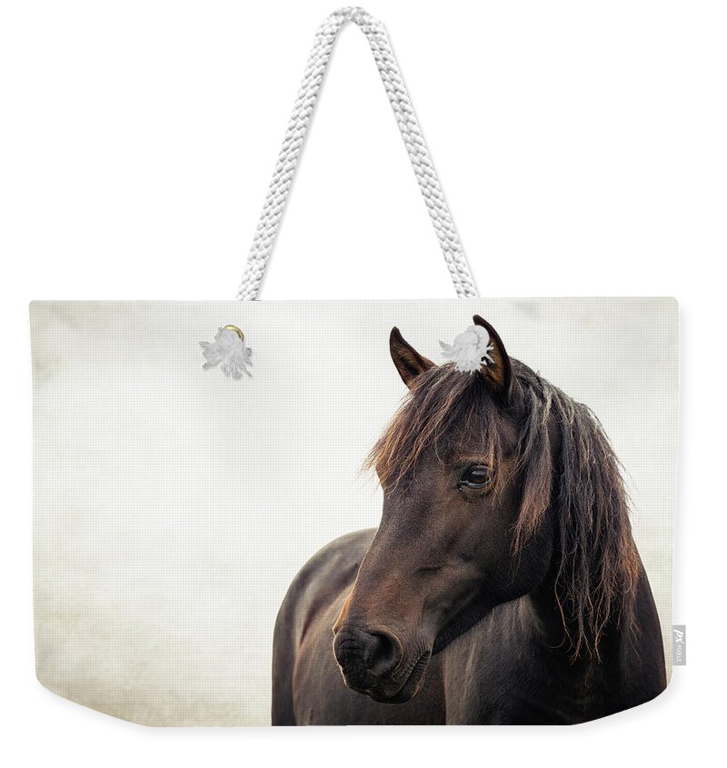 Horse Weekender Tote Bag featuring the photograph Maile - Horse Art by Lisa Saint