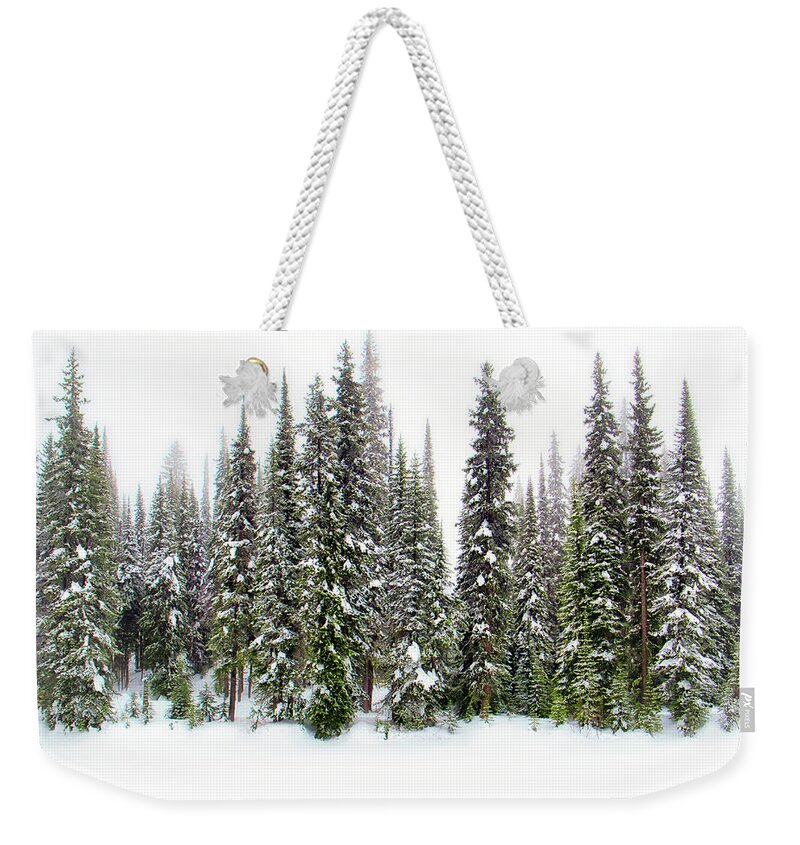 Okanagan Valley Weekender Tote Bag featuring the photograph Majestic Evergreens in Snow by Allan Van Gasbeck