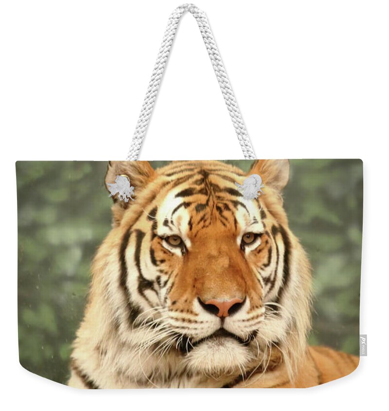 Tiger Weekender Tote Bag featuring the photograph Majestic by Lens Art Photography By Larry Trager