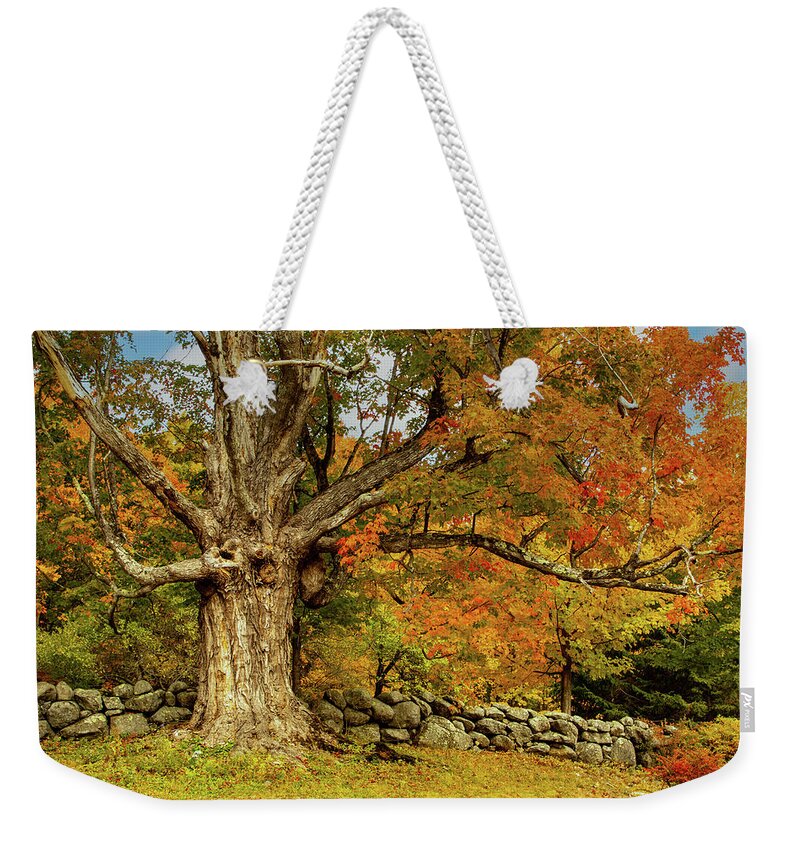 Hillsborough Nh Weekender Tote Bag featuring the photograph Majestic Maple Fall Colors by Jeff Folger