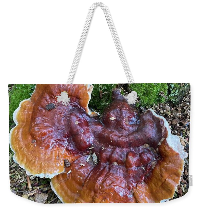 Mushroom Weekender Tote Bag featuring the photograph Majestic Mushrooms #33 by Anjel B Hartwell