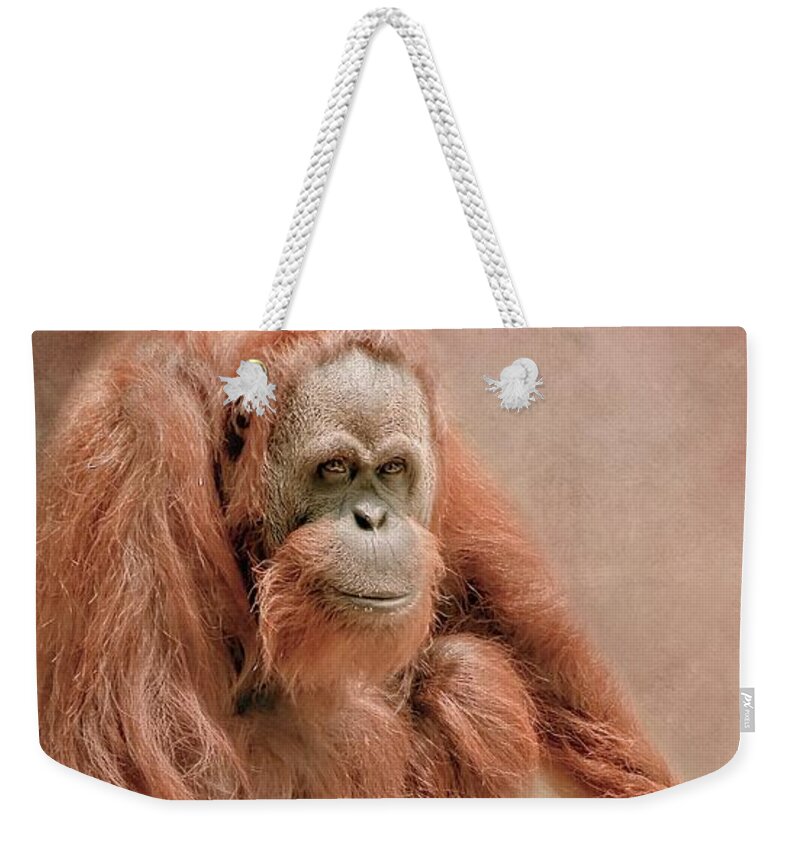 Gorilla Weekender Tote Bag featuring the photograph Majestic Orangutan by Marjorie Whitley